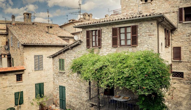 Montone Due