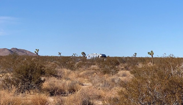 Moonlight Desert Airstream Near Joshua Tree National Park!