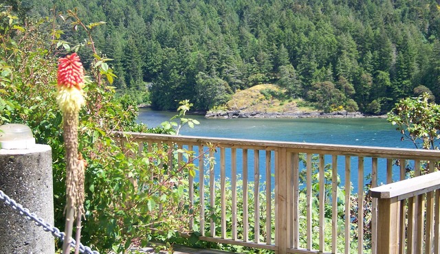Moonlit Cove B&B