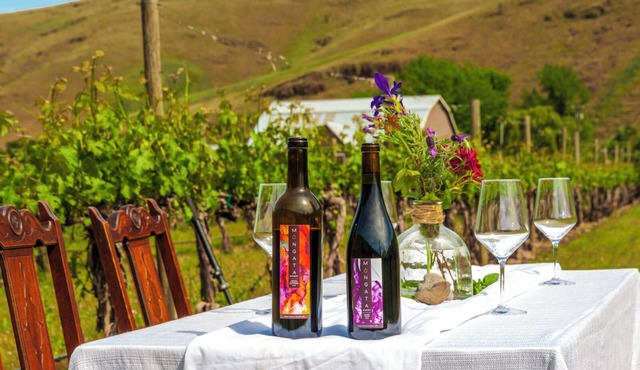 Moonrise Suite in a Vineyard + Winery!