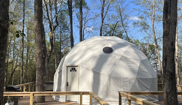 Moonshiner Tree Dome is rustic luxury with big, beautiful panoramic views.
