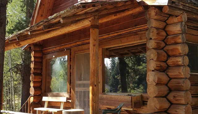 "Moose Paddle" Rustic Cabin Hidden In The Pines.