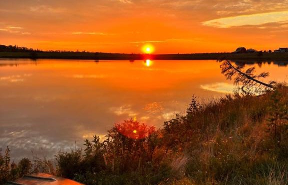 Moose River Cottage