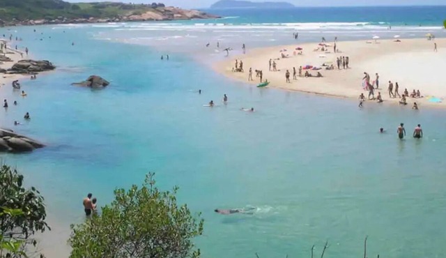 Morada dos Pássaros- Arara