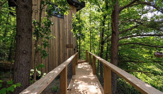 Morel Glamping Cabin with Wifi