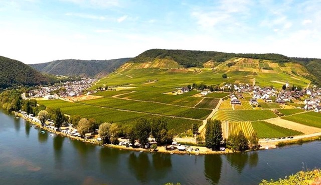 Mosea, the cozy vacation apartment on the Moselle - near Beilstein and Cochem.
