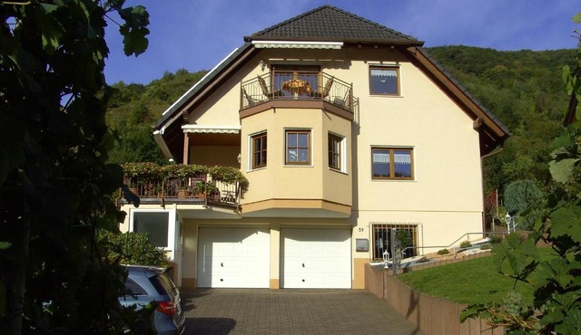 Moselblick