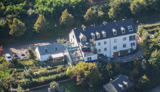 Moseltraum/Alte Schmiede - 2-bed apartment "Alte Schmiede"