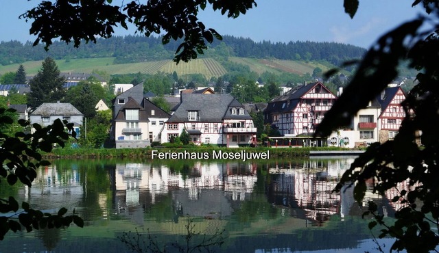 Moselufer half-timbered dream vacation apartment with sauna and indoor pool