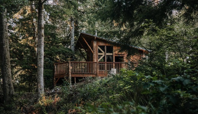 Mossquatch Resort - Cabin 1 Upgrade your camping experience!