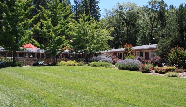 Mother Lode Motel