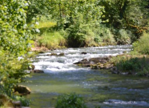 Moulin de la Cuse - Chambre La Cuse