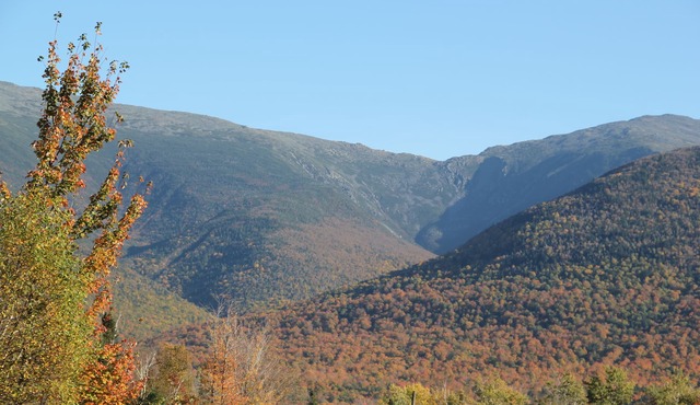 Mount Jefferson View