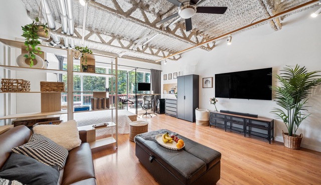 Mount Pleasant Work & Live Loft
