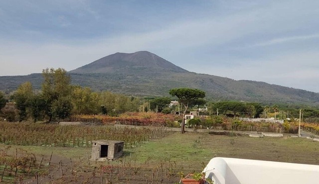 Mount Vesuvius Half Day Private Tour