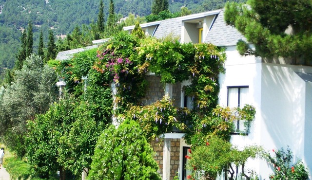 Mountain backdrop with sea views