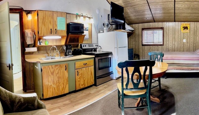 Mountain cabin, river views and only 15 MINUTES to Wolf Creek Ski area! Sleeps 2.