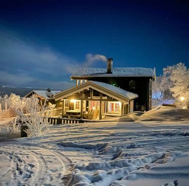 Mountain Cabin With Panoramic Views At Hummelfjell
