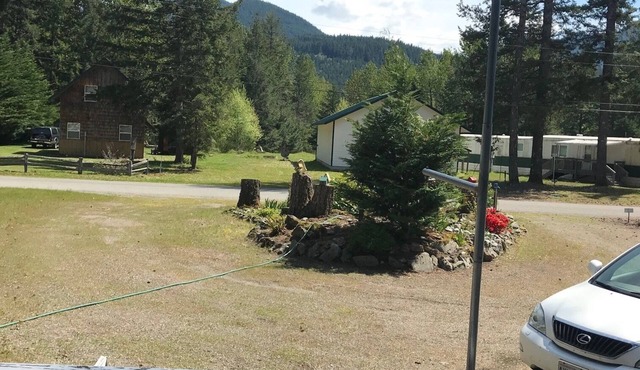 Mountain Frog Cabin - A.C./Sleeps 2/Hot Tub - 30 min. from Rainier/Skiing