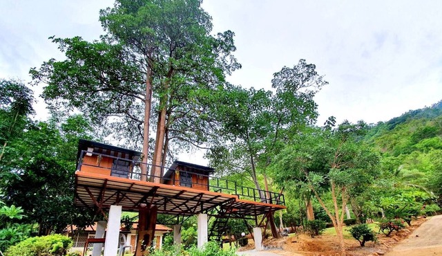 Mountain Front Hut For 2 Rare Birds, Bikes, Nature