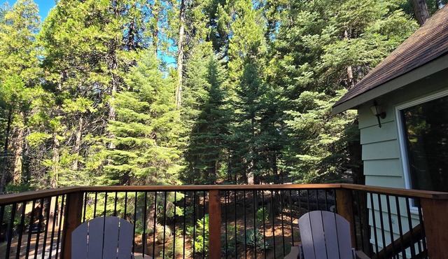 Mountain Home Get Away. Pet friendly in the Dorrington area of Arnold CA.