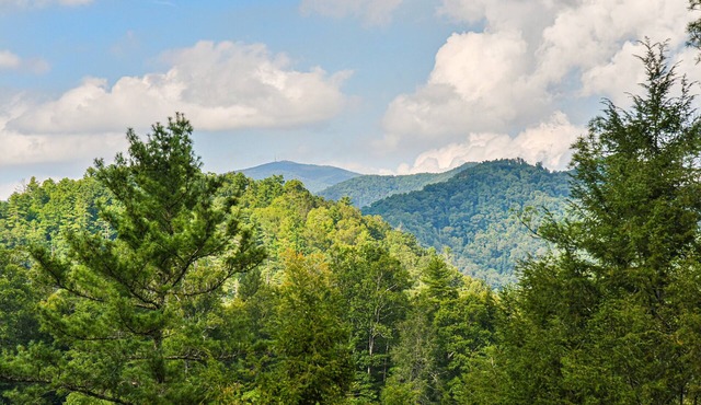 MOUNTAIN HOME NEW DISCOUNTED RATES MOUNTAIN VIEWS MILITARY DISC PETS HOT TUB
