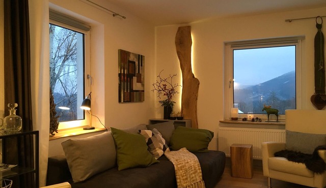 Mountain idyll in the Steigerhaus Sauerland - OG Nord