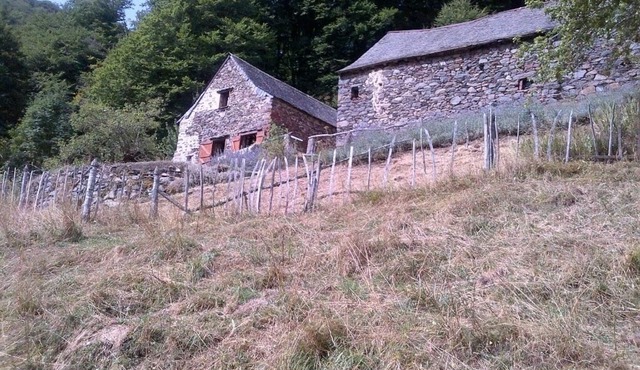 MOUNTAIN SHEEPFOLD