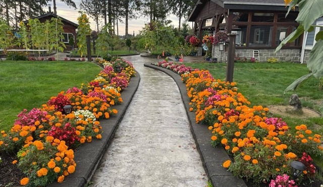 Mountain View Farm Experience!