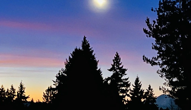 MountForest Retreat