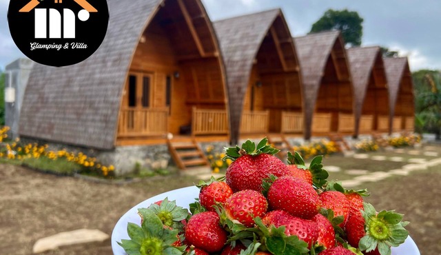 MR GLAMPING & VILLA
