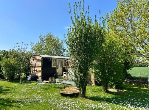 Mr Hares shepherd hut