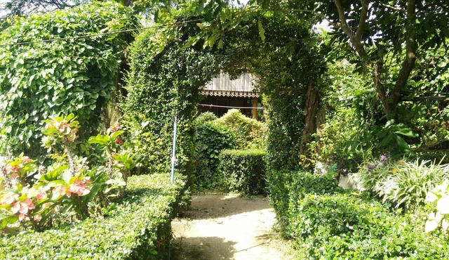 Mr Jan Guest House