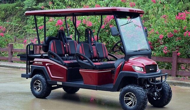 Multi Day 6 Passenger LSV Golf Cart Rental