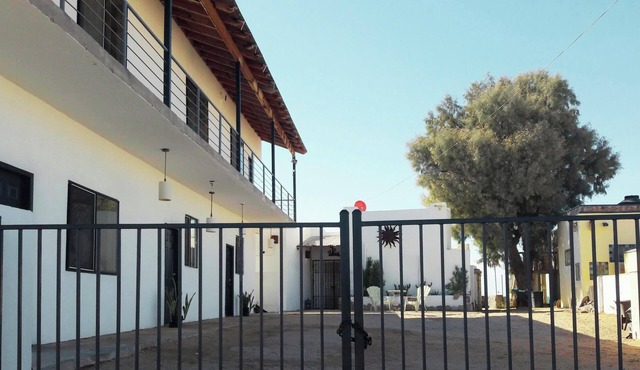 Multi Unit Beachfront Compound in Cholla Bay Pet Friendly - Perfect for Groups