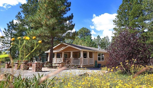 Munds Park Deer Run Retreat welcomes your family and dog!