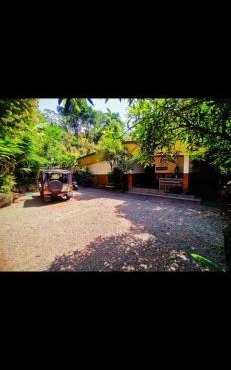 Munnar Plantation Villa