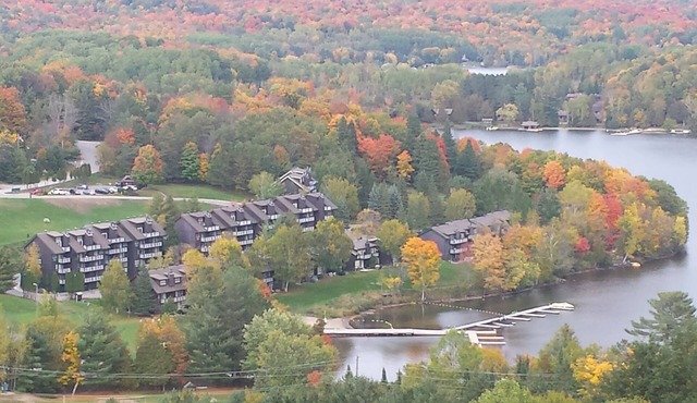 Muskoka Chalet-Beach & Ski Hill
