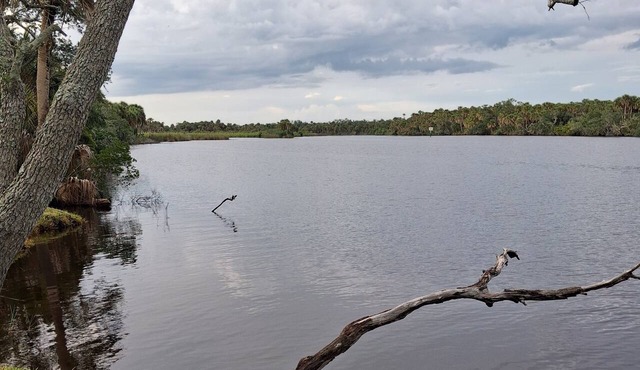 Myakka River Waterfront Dream Vacation Home