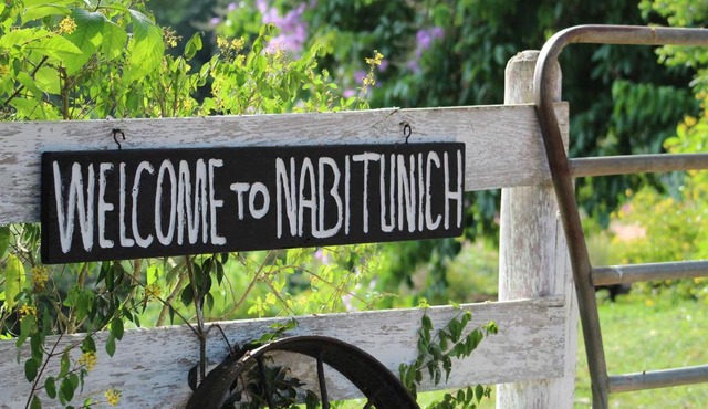 Nabitunich