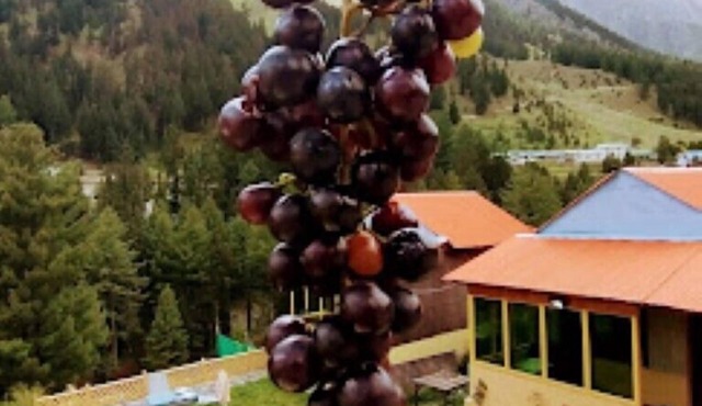 Naltar Continental hotel