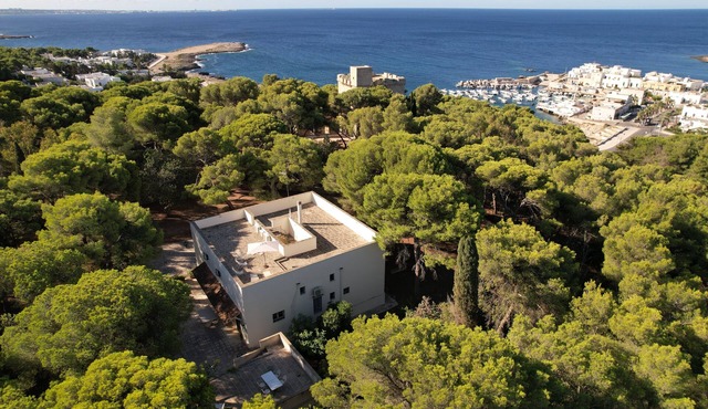 Nardo: House/Villa - NardòHouse with garden