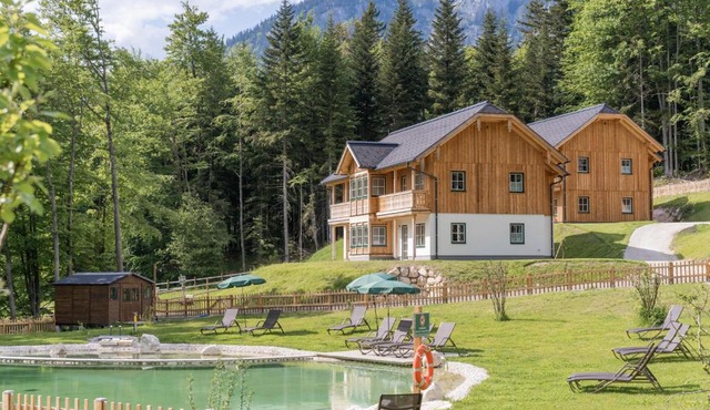 Narzissendorf Zloam am Grundlsee