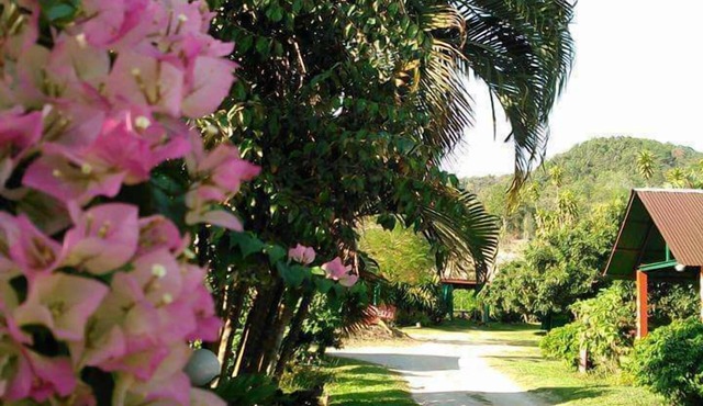 Nason Resort