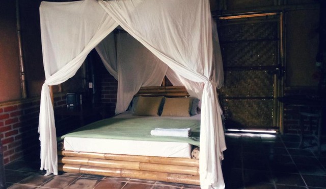 Natural Forest homestay