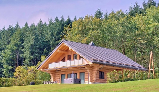Natural log cabin chalet (new build 2025!) in the Hunsrück with lake and national park views