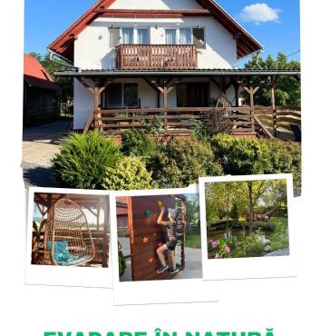 Natural Retreat Apartment Sovata