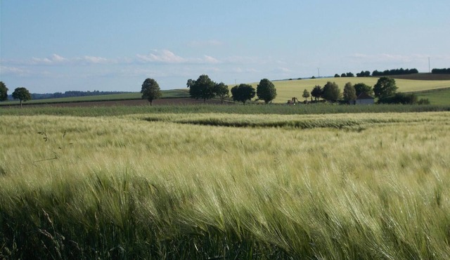 Nature and Tranquility Surrounded by Gentle Hills and Evergreen Fields – Perfect for Peace Seekers