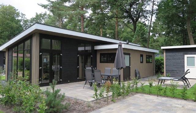 Nature-Connected Modern Stay