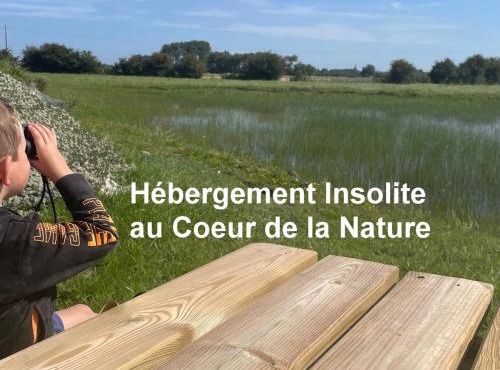 Nature en Somme